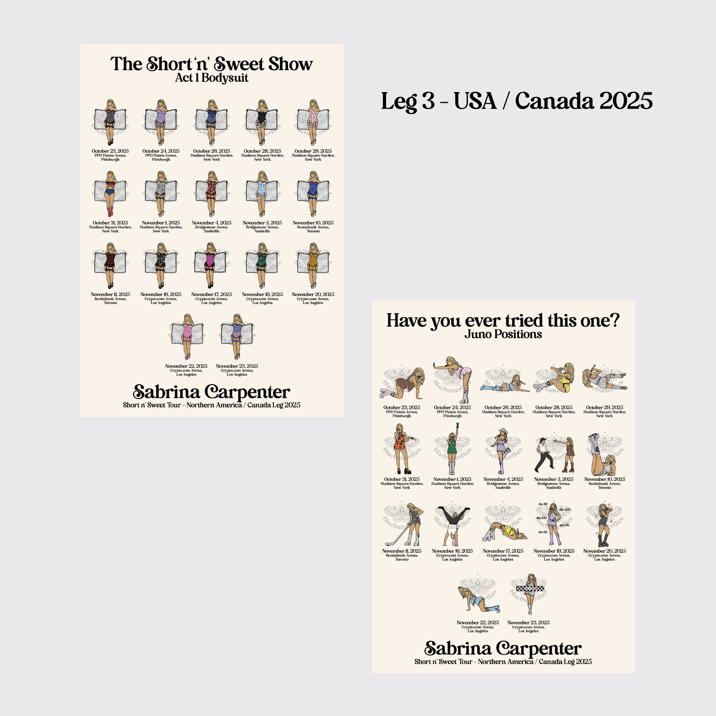 Carpenter Sweet Tour Posters (Leg 3 USA / Canada)