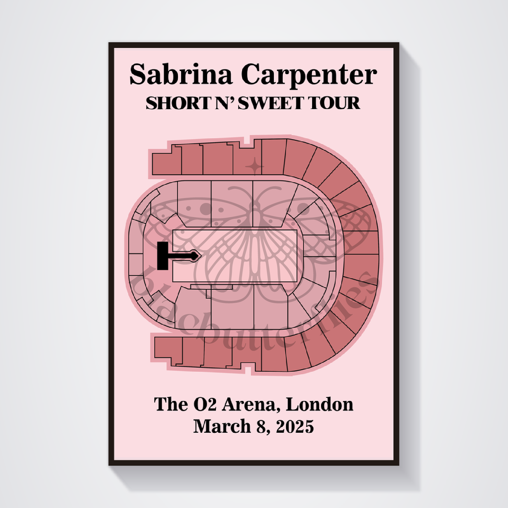 Carpenter Sweet Tour Venue Poster