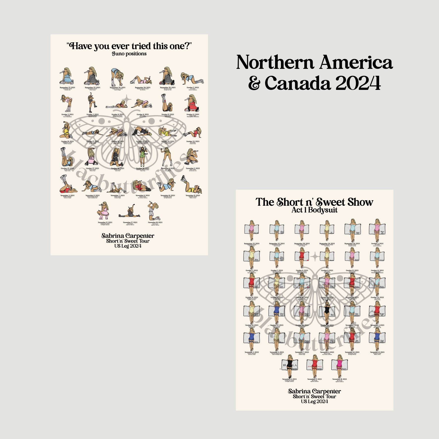 Carpenter Sweet Tour Posters (USA/Canada)